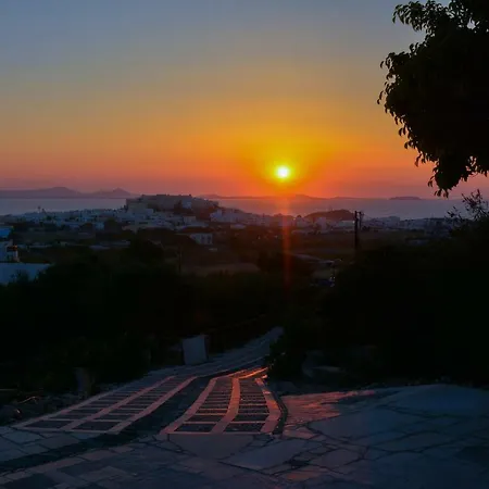 Dandelion Naxos City