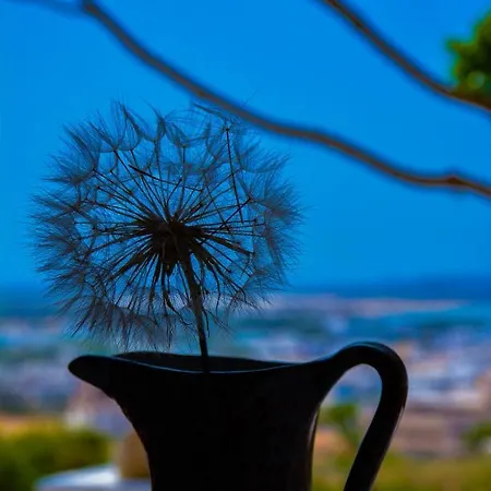 Dandelion Prázdninový dům